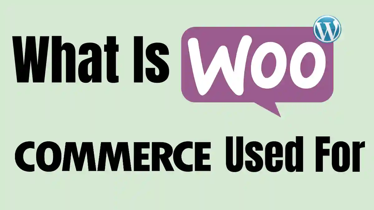 What Is Woocommerce Used For?