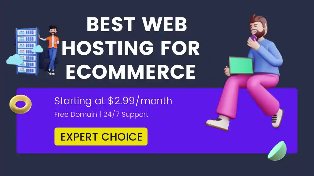 What is the best web hosting provider for ecommerce In 2024?